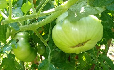 20200810_110941~2.jpg