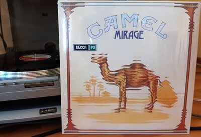camel.jpg