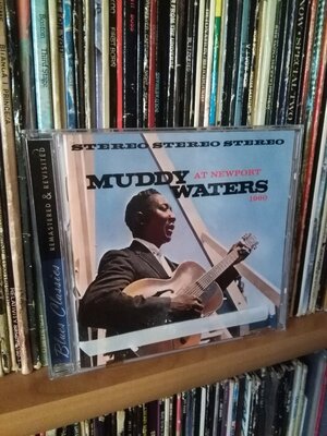 Muddy Waters At Newport 1960.jpg