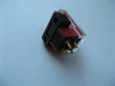 IMG_1630 (Large).JPG
