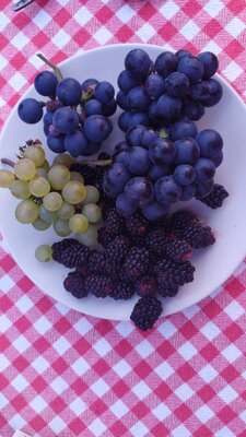 IMG-20200916-WA0016.jpg