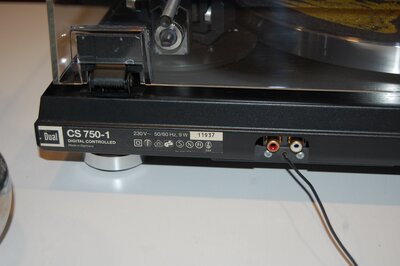 DSC_1246.JPG