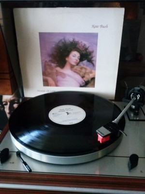 Kate Bush - Hounds Of Love.jpg