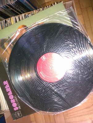 IMAG0029.jpg