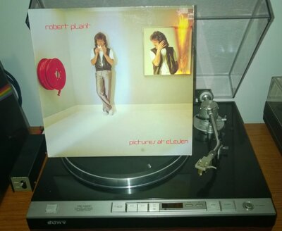 Robert Plant - Pictures At Eleven (GER 1982).jpg