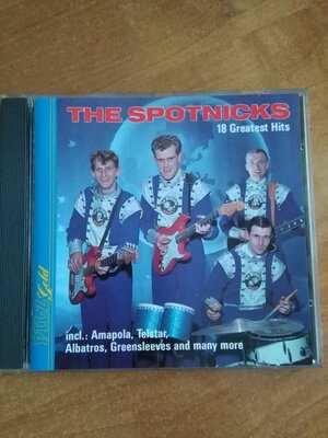 The Spotnicks.jpg