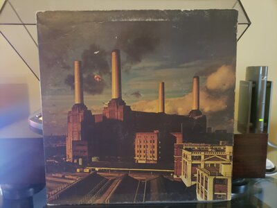 20201004_143617.jpg