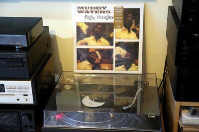 MUDDY WATERS - Folk singer.jpg