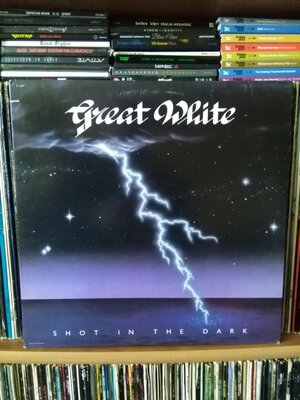 Great White Shot In The Dark.jpg
