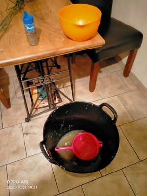 IMG20201021193138.jpg