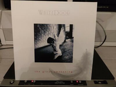 White Door - The Great Awakening.jpg