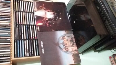 20201028_170228.jpg