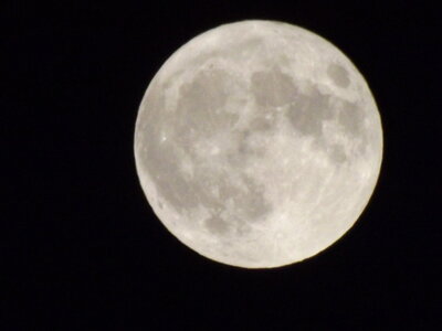 DSCF4438.JPG