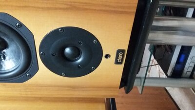 20201031_200245.jpg