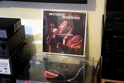 MUDDY WATERS - AT NEWPORT 1960.jpg