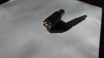 IMG_20201107_123828532.jpg
