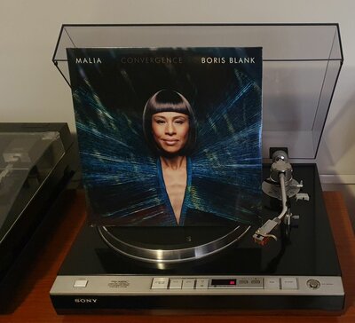 Malia, Boris Blank - Convergence (EU 2014).jpg