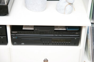 IMG_7593.JPG