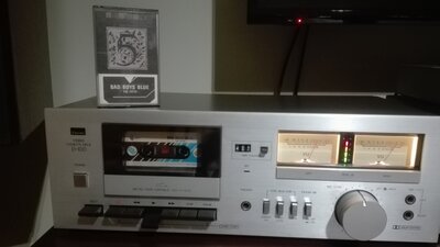 IMG_20201116_174534.jpg