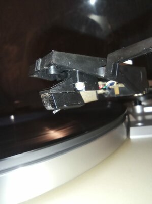 IMG-20201125-WA0000.jpg