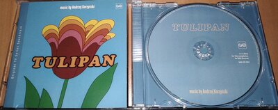 korzyński - tulipan.jpg