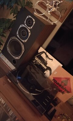 IMG_20201127_163521.jpg
