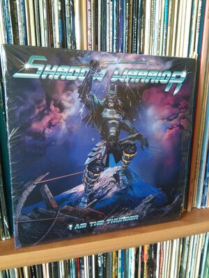 Shadow Warrior I Am The Thunder.jpg
