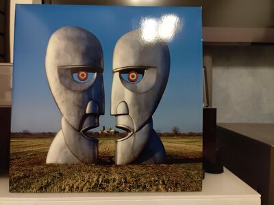 Pink Floyd - The Division Bell.jpg