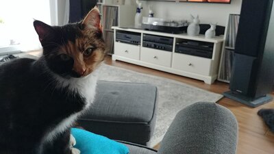 20201129_133333_HDR.jpg