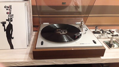 20201202_232136.jpg
