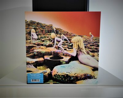 1607523491529.jpg