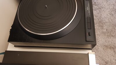 20201209_123313.jpg