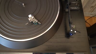 20201209_123545.jpg
