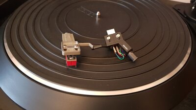 20201209_123612.jpg