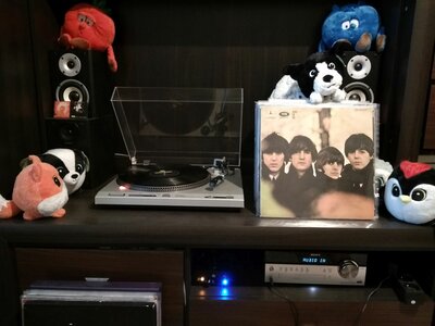 IMG_20201212_131424.jpg