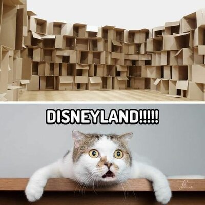 disney.jpg