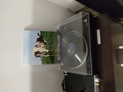IMG_20201218_174352.jpg