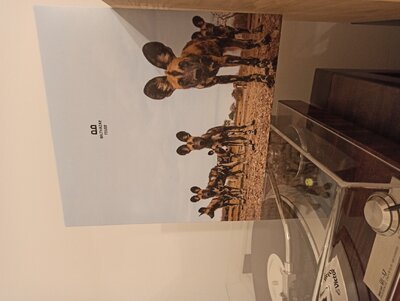 IMG_20201221_172306_resize_2.jpg