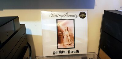 Faithful Breath - Fading Beauty Vinyl.jpg
