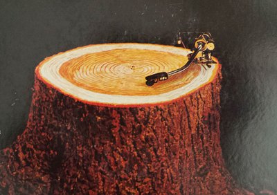 20140615_092127.jpg