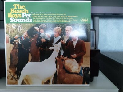 The Beach Boys ‎– Pet Sounds.jpg