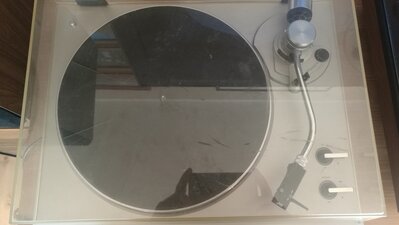 IMG_20210131_121905.jpg