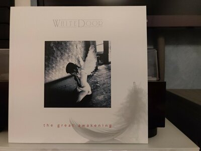 White Door ‎– The Great Awakening.jpg