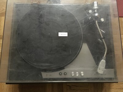 29BD2685-DE9D-415E-9E0D-C198A42D1059.jpeg
