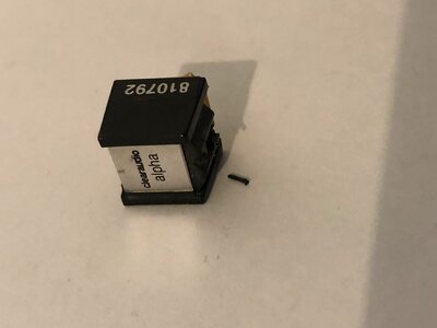 147414097_5022447984494672_1140230714146164203_n.jpg