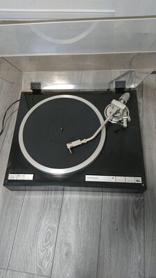 i-img675x1200-1565237152p5eyyf897944.jpg