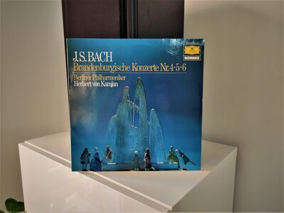 1616256186386.jpg