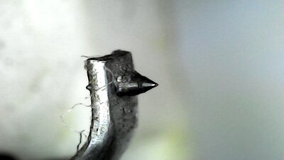 20210403_1745_002_0.000.jpg