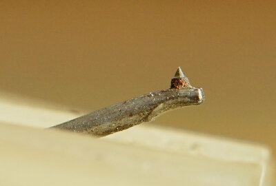 DSC07337_.jpg