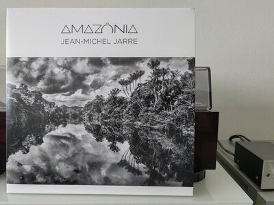 Jean-Michel Jarre ‎– Amazonia.jpg